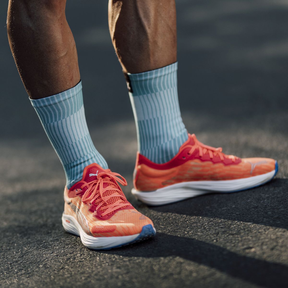 SOX FOOTWEAR - SLIGHT TURQUOISE CREW SOCKS