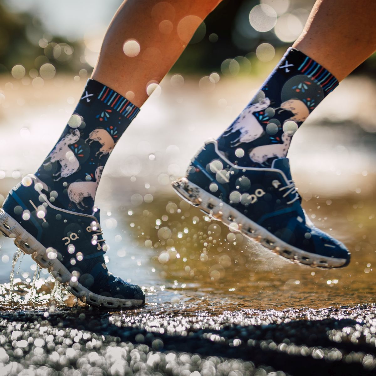 SOX FOOTWEAR - ALPACAS CREW SOCKS