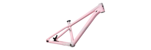 Specialized P Series P3 26" Frame