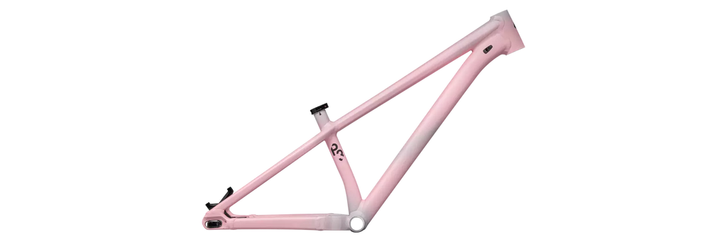 Specialized P Series P3 26" Frame