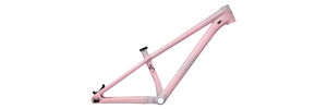 Specialized P Series P3 26" Frame