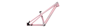 Specialized P Series P3 26" Frame