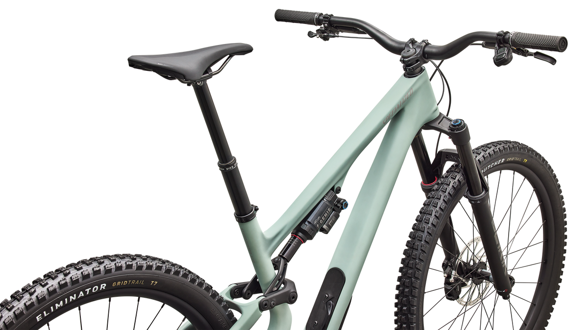 Stumpjumper 15 EVO Expert