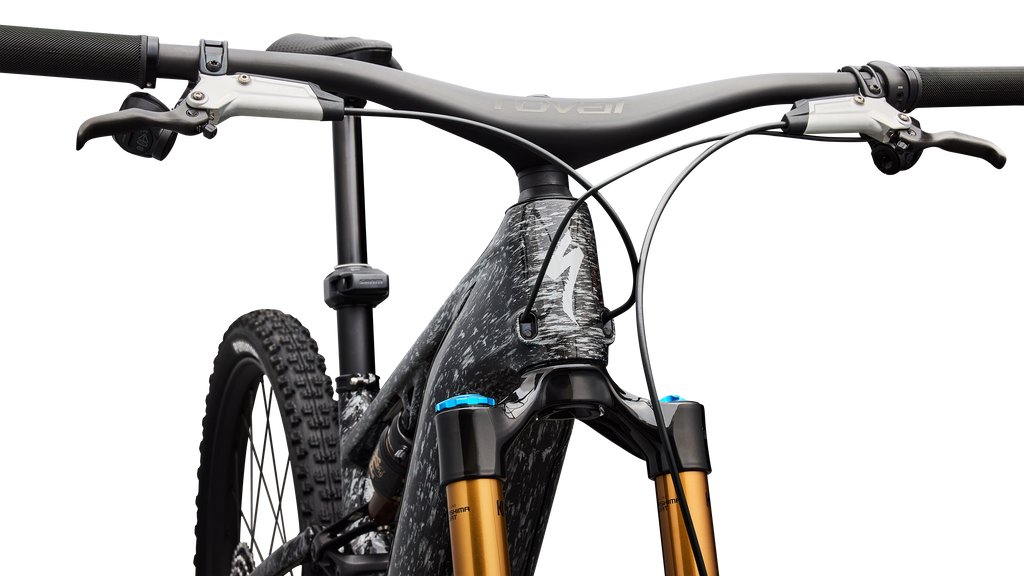 S-Works Turbo Levo R