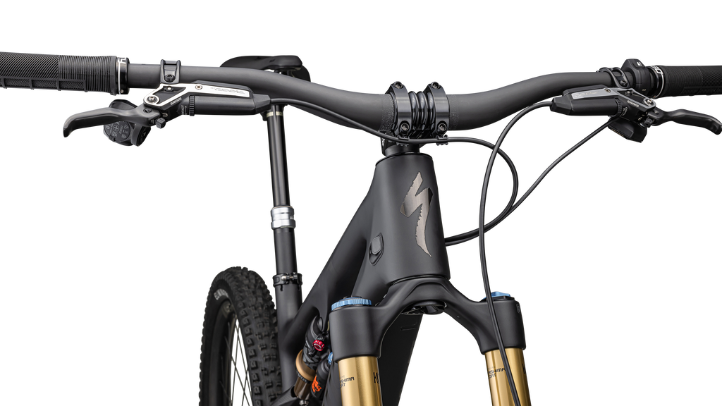 S-Works Turbo Levo SL 2 Carbon