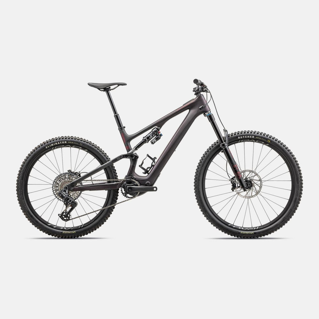 Turbo Levo SL 2 Expert Carbon