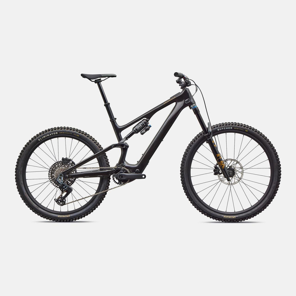 Turbo Levo SL 2 Expert