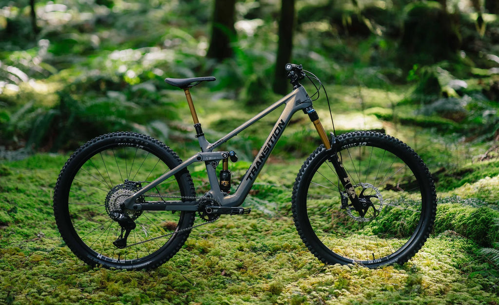 Transition Sentinel Carbon Eagle 90