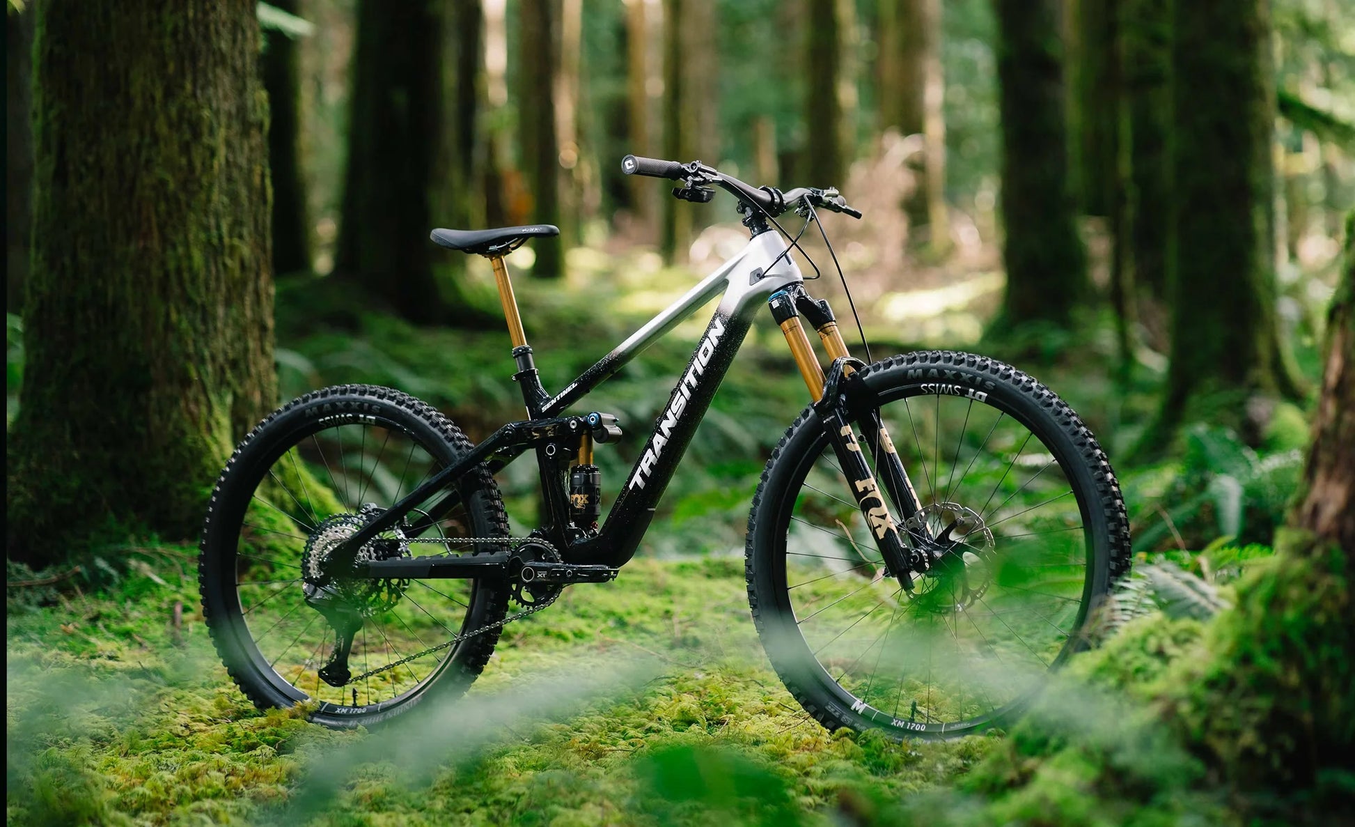 Transition Sentinel Carbon XT Di2