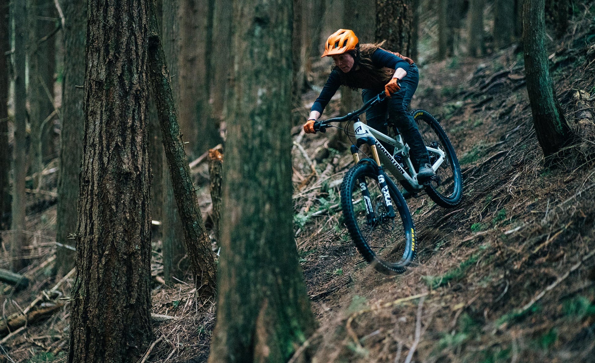 Transition Sentinel Carbon Frameset