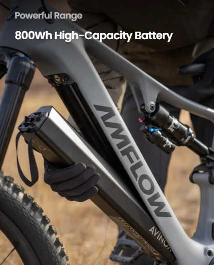 Amflow PR Pro Carbon