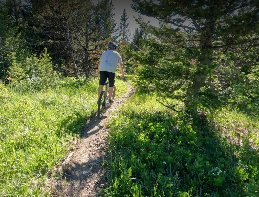 WILD ACCESS LINE -LSTYLE