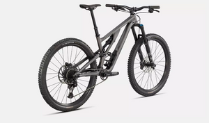 2023 Stumpjumper Evo Comp Alloy