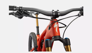 2022 Specialized Levo Pro Satin Redwood / Smoke