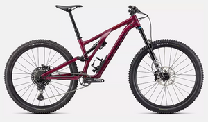 2023 Stumpjumper Evo Comp Alloy